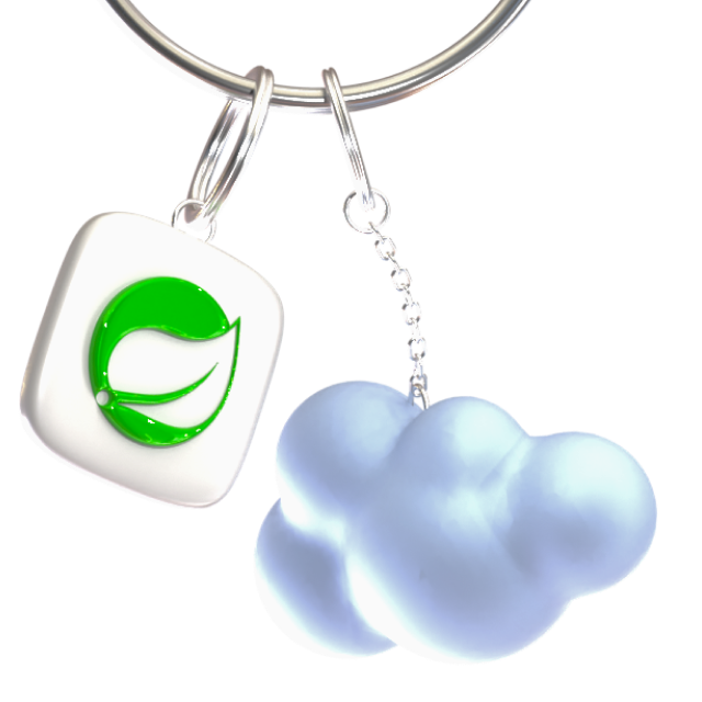Server 
Developer